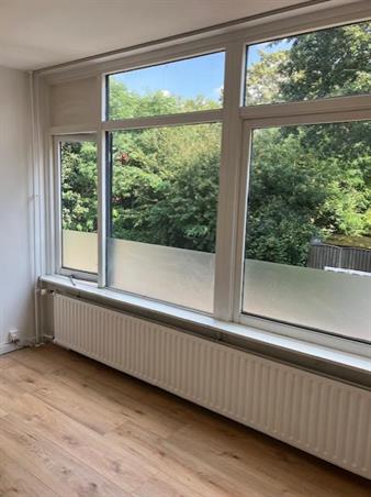 Zimmer bei Hooilaan In Breda