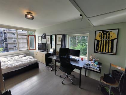 Room for rent 299 euro Calslaan, Enschede