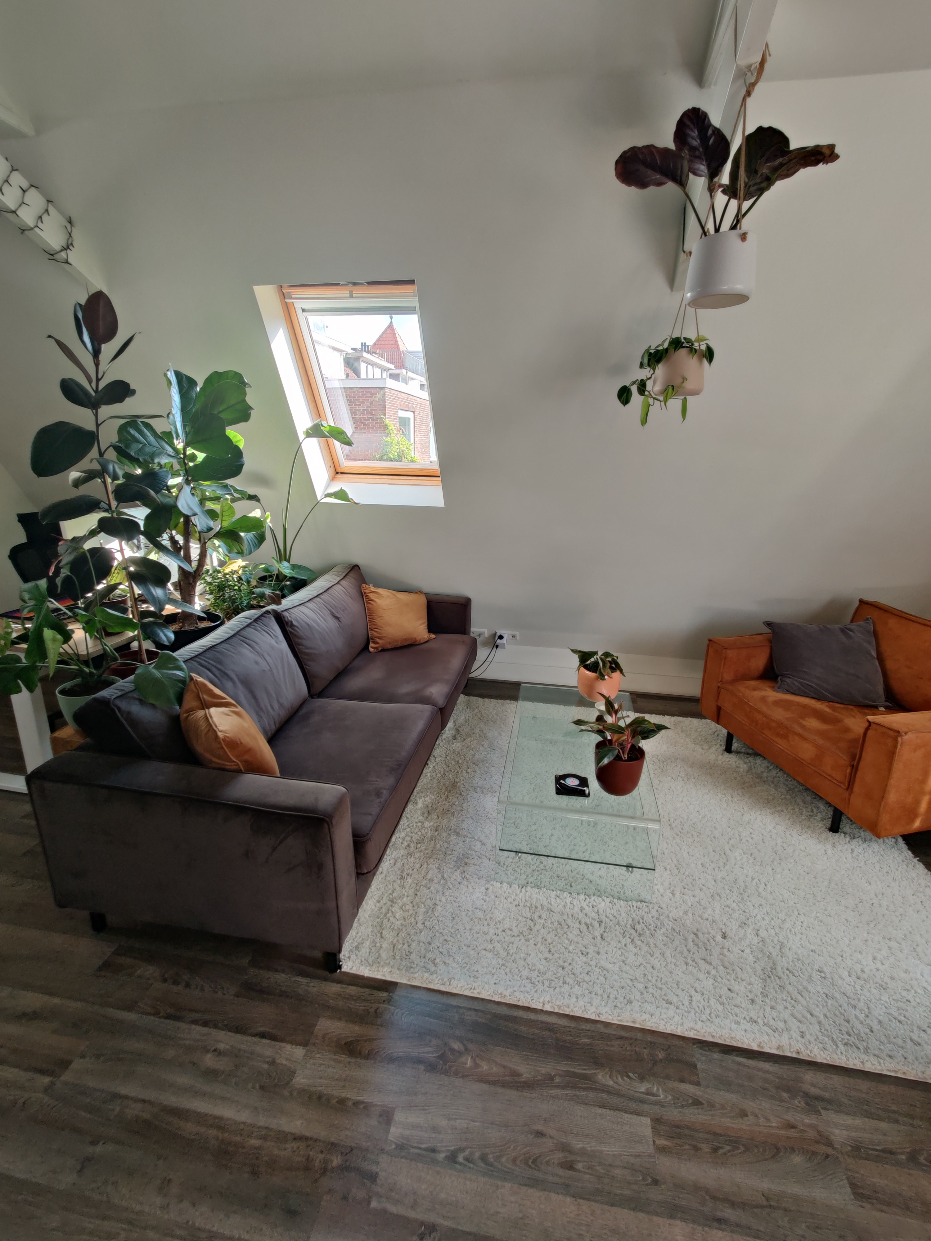 appartementen te huur op Albatrosstraat