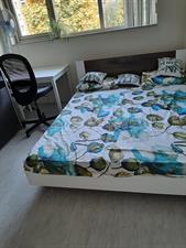 Apartment for rent 2100 euro Hoeksewaard, Amstelveen