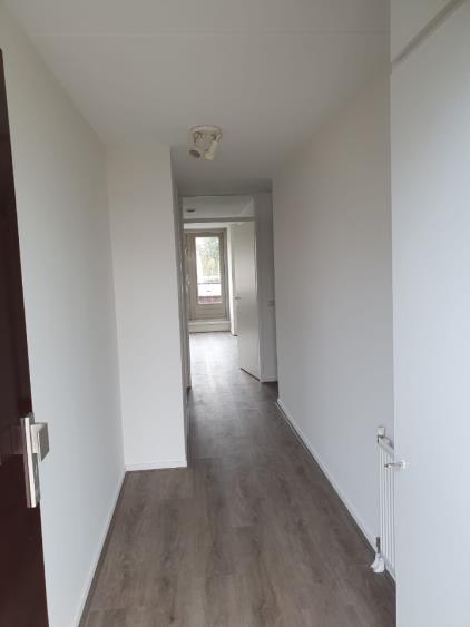 Apartment for rent 1500 euro Broedershof, Veghel