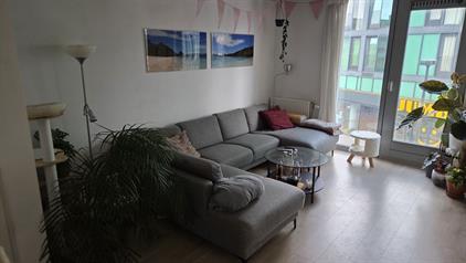 Apartment for rent 1000 euro Beren, Groningen