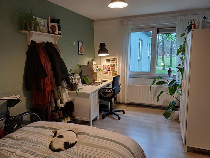 Zimmer bei Campuslaan In Enschede