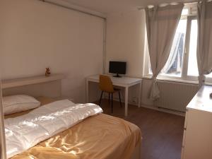 Room for rent 800 euro Schrijnwerkersgaarde, Den Haag