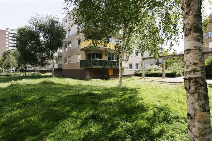 Zimmer bei Jeltje de Bosch Kemperpad In Amsterdam