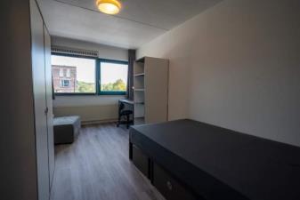 Room for rent 450 euro Zusterlaan, Delft
