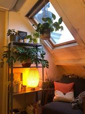 Room for rent 250 euro Mekkelholtsweg, Enschede
