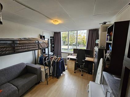 Room for rent 600 euro Eerste Oude Heselaan, Nijmegen