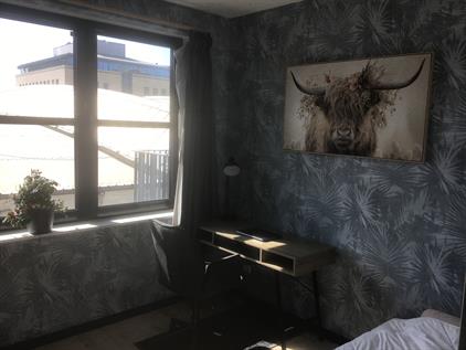 Kamer te huur 450 euro Industriestraat, Delft
