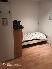 Room for rent 650 euro Borgerstraat, Den Haag