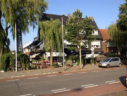 Kamer te huur 495 euro Goudenregenstraat, Leeuwarden