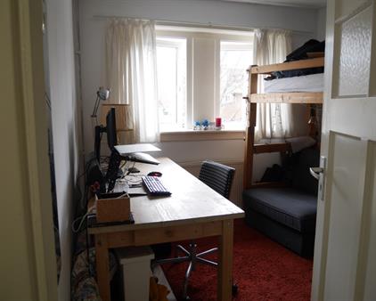 Room for rent 495 euro Zilvermeeuwstraat, Hilversum