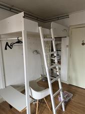 Room for rent 428 euro Tuinbouwdwarsstraat, Groningen