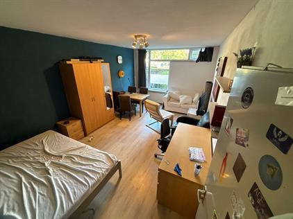Room for rent 700 euro Wassenaarseweg, Leiden