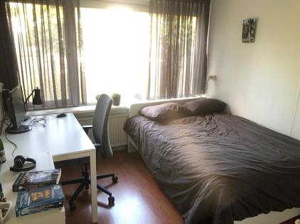 Room for rent 365 euro Adriaen Brouwerstraat, Enschede