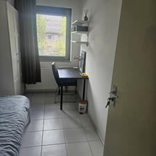 Room for rent 700 euro Sporadenlaan, Amsterdam