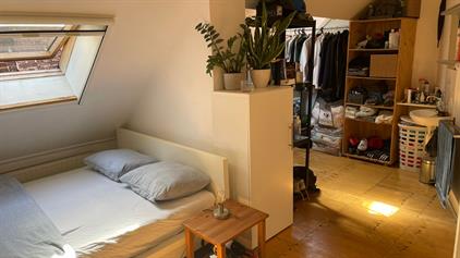 Room for rent 550 euro Hippolytusbuurt, Delft