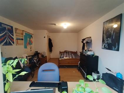 Room for rent 480 euro Van Hasseltplein, Delft
