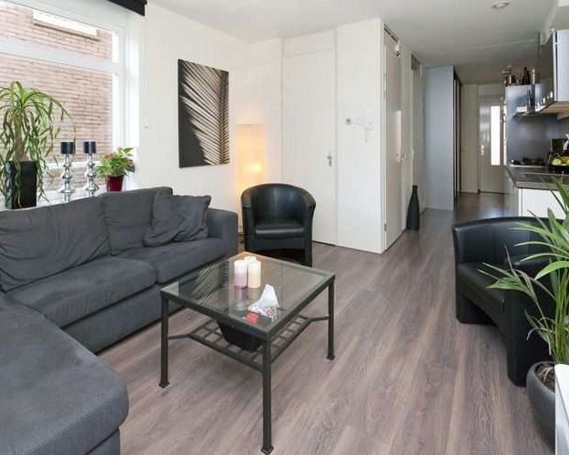 vrije-sector-woningen te huur op Singelstraat