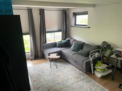 Room for rent 600 euro Hippolytusbuurt, Delft