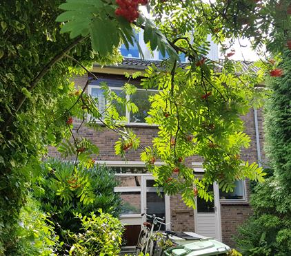 Room for rent 700 euro Jupiterstraat, Groningen