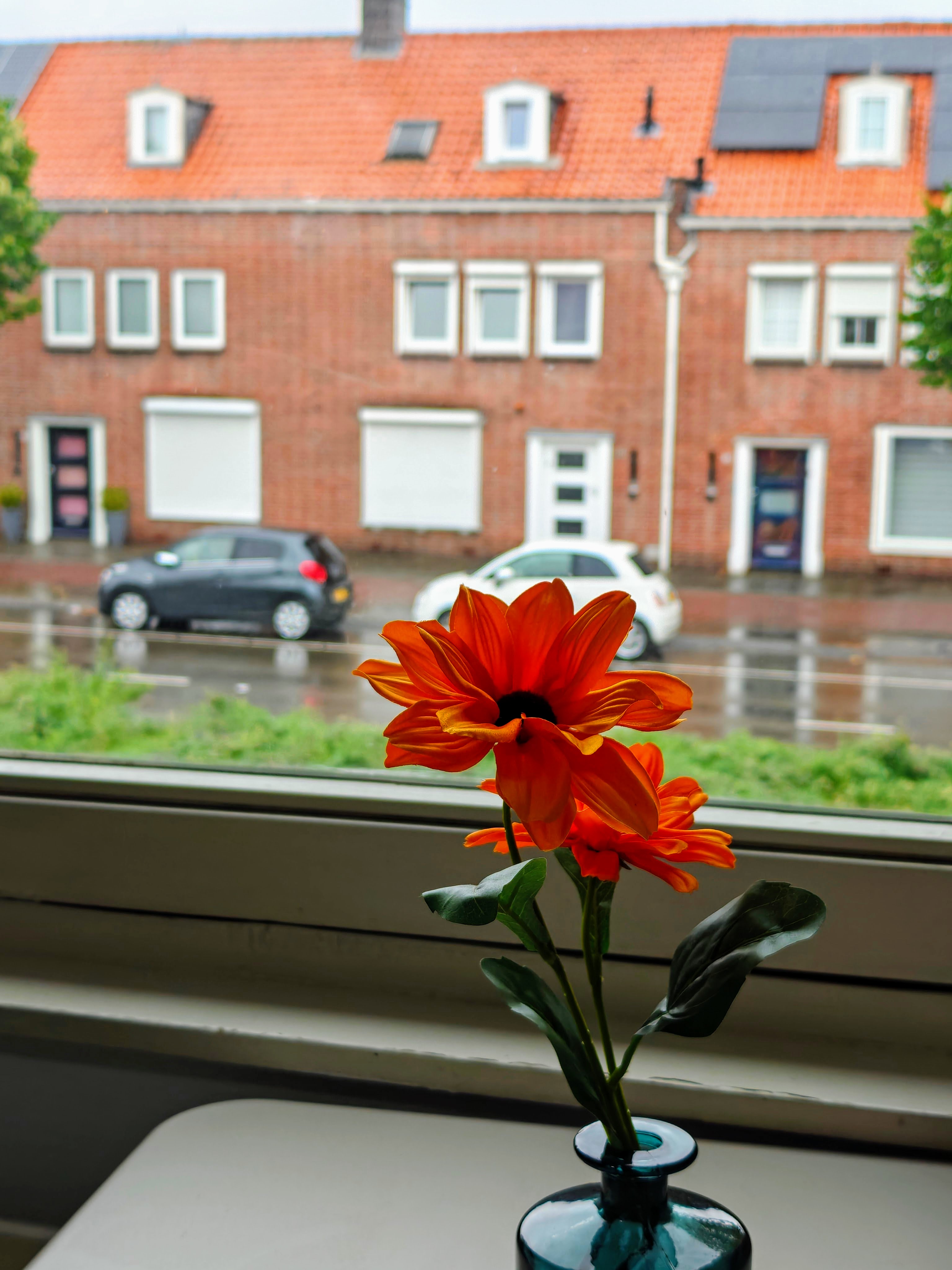 Ringbaan-Oost