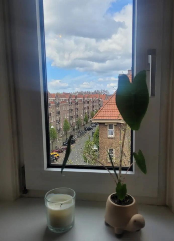 Studio te huur in Amsterdam – Hembrugstraat – foto 3