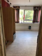 Room for rent 600 euro Oudraadtweg, Delft