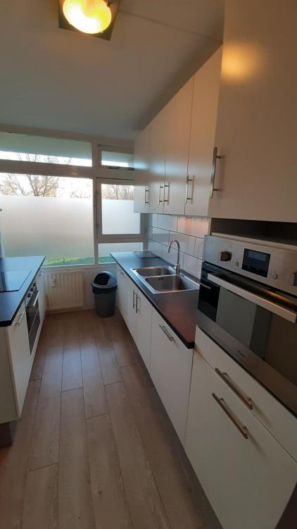 Room for rent 700 euro Texelhof, Haarlem