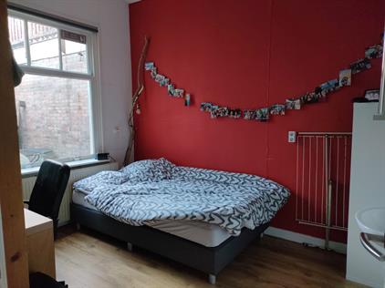 Room for rent 460 euro Van Bleyswijckstraat, Delft