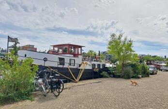 Kamer te huur 700 euro Veerdijk, Wormer