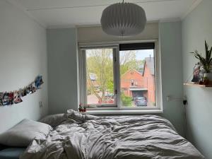 Room for rent 365 euro Sientje van Houtenlaan, Enschede