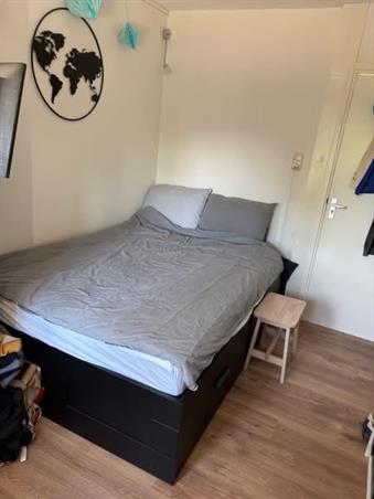 Zimmer bei Prinsesseweg In Groningen