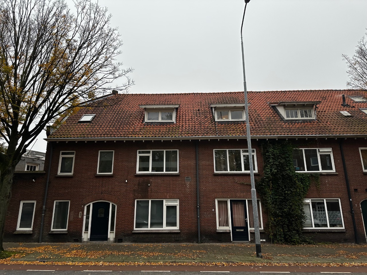 Willem de Zwijgerstraat