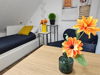 Kamer te huur 1400 euro Ringbaan-Oost, Tilburg