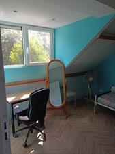 Room for rent 950 euro Henegouwenlaan, Eindhoven