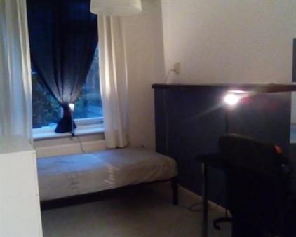 Room for rent 365 euro Johan de Wittstraat, Groningen