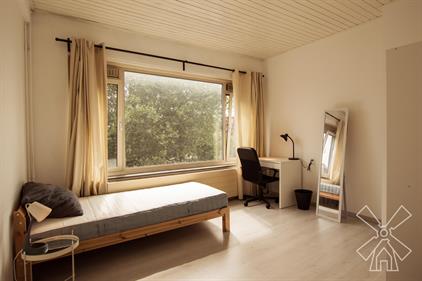 Room for rent 875 euro Lijnbaan, Den Haag