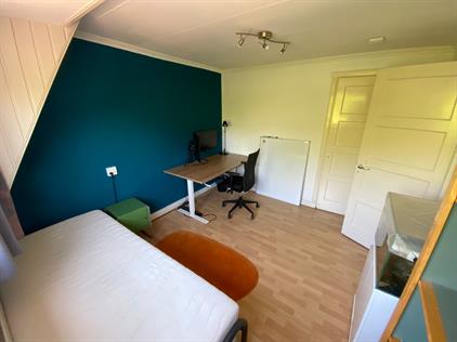 Room for rent 500 euro Hof van Delftlaan, Delft