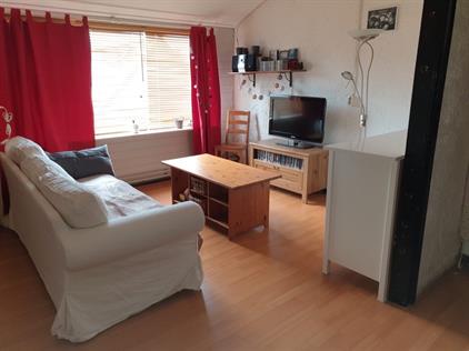 Room for rent 500 euro Zuidwenk, Bunschoten-Spakenburg