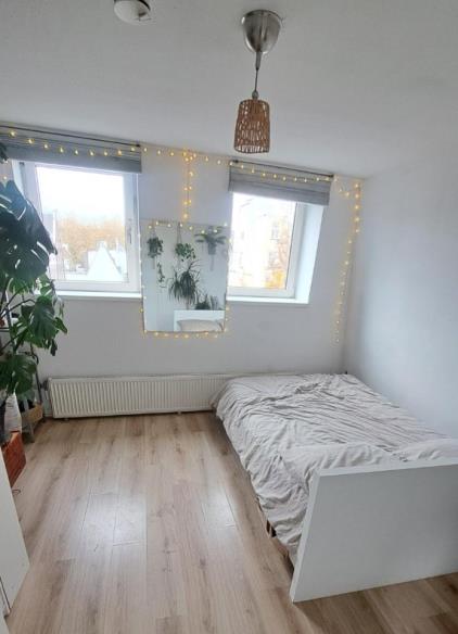 Room for rent 1100 euro Utrechtsestraat, Amsterdam