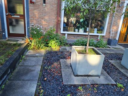 Room for rent 400 euro Kwikstraat, Apeldoorn