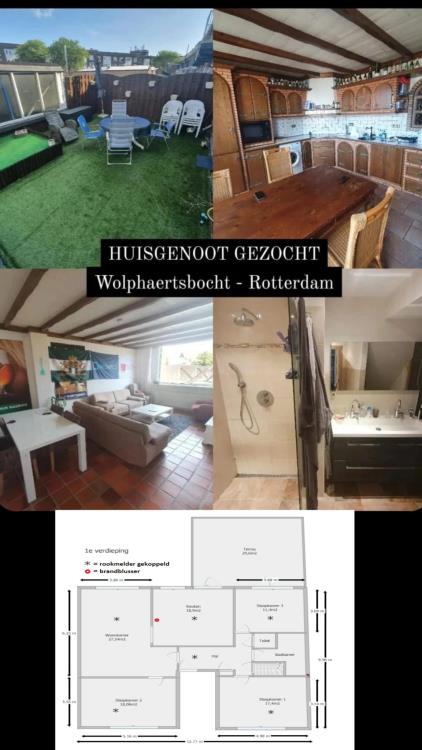 Kamer te huur 550 euro Wolphaertsbocht, Rotterdam