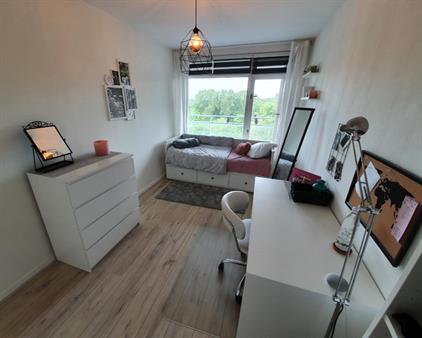 Kamer te huur 750 euro Pisuissestraat, Den Haag