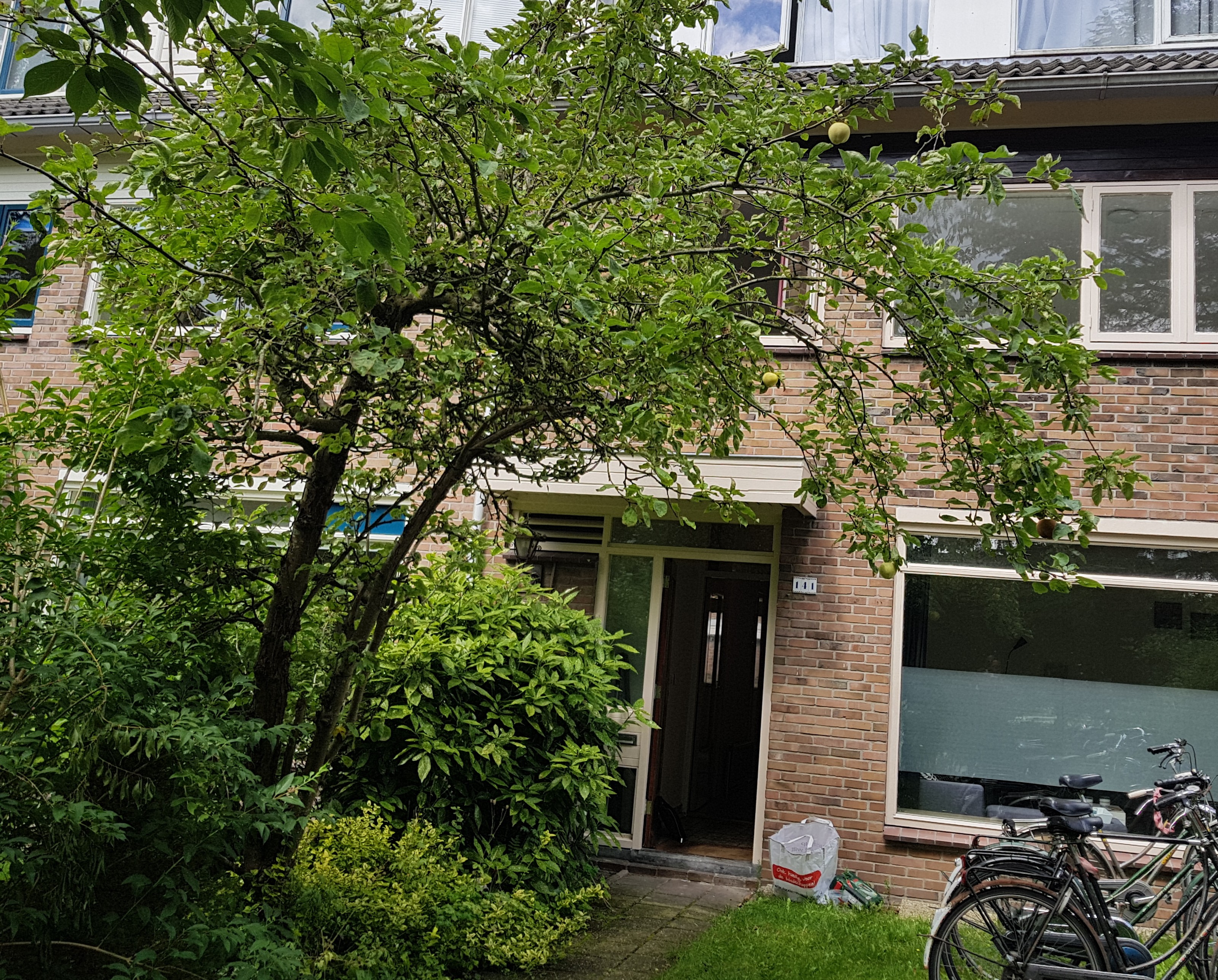 Jupiterstraat