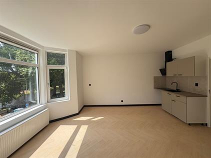 Studio for rent 1350 euro Noordsingel, Rotterdam