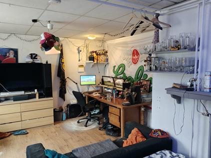 Room for rent 500 euro Drienerweg, Enschede