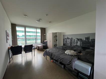 Studio te huur 800 euro Carolina MacGillavrylaan, Amsterdam
