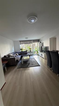 Zimmer bei Joost van Geelstraat In Rotterdam