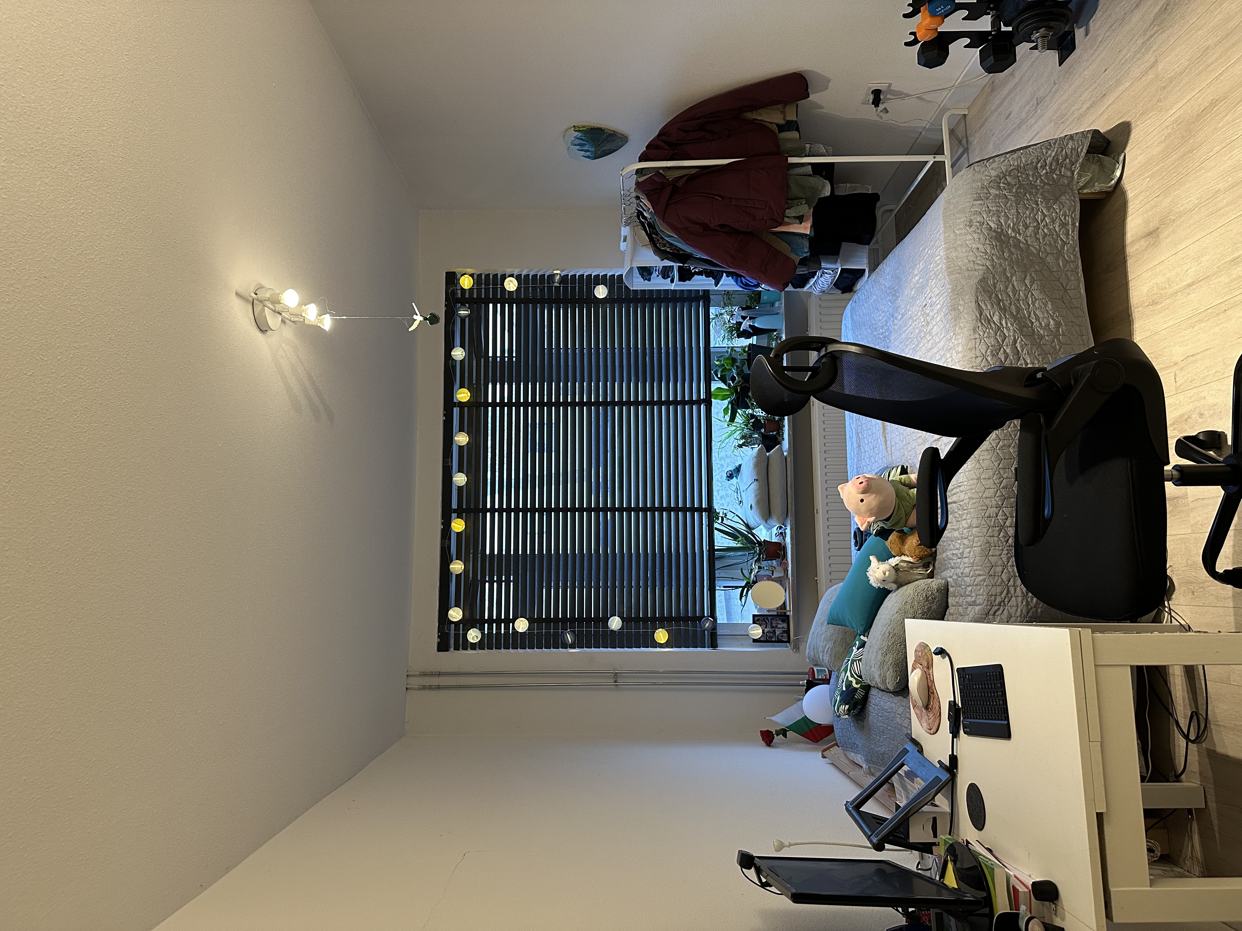 Wethouder Elhorststraat